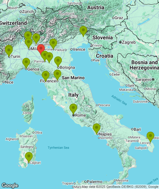 Cremonese_league.png